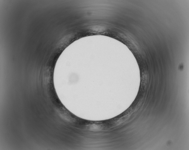 X0000116550412201001211206