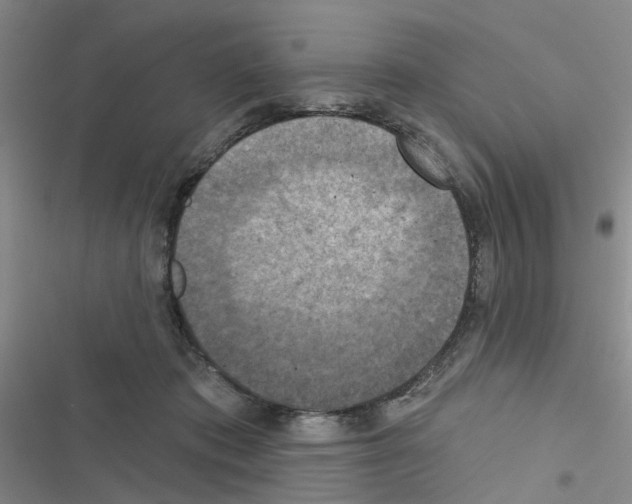 X0000116550413201001211206