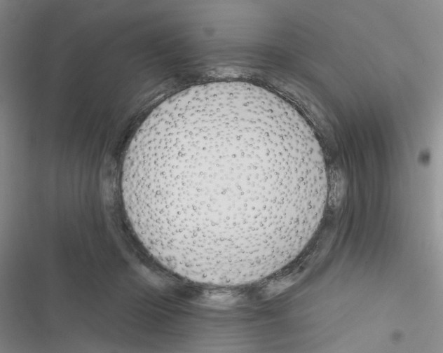 X0000116550414201001211206