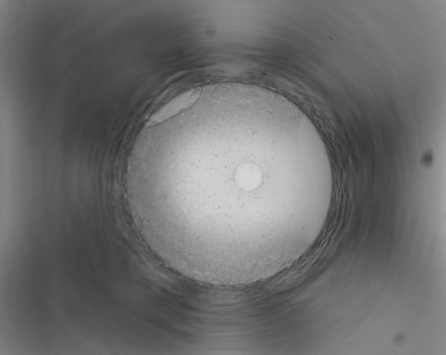 X0000116550421201001211206