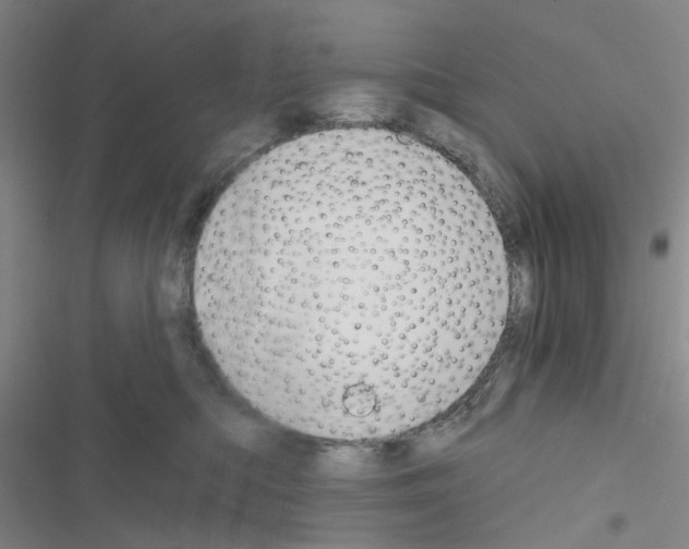 X0000116550422201001211206