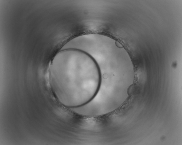 X0000116550423201001211206