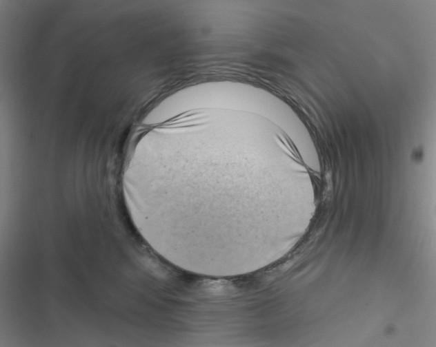 X0000116550424201001211206