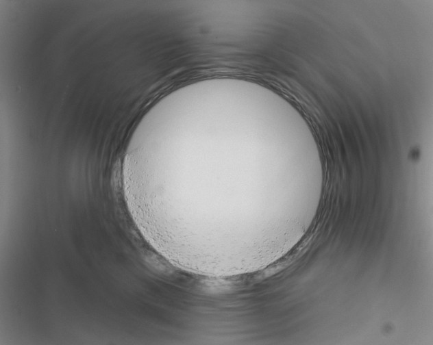 X0000116550425201001211206