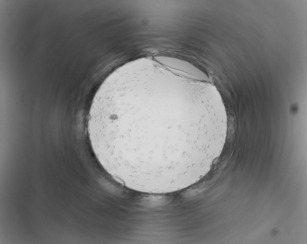 X0000116550428201001211206