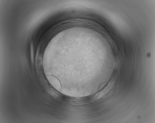 X0000116550431201001211205