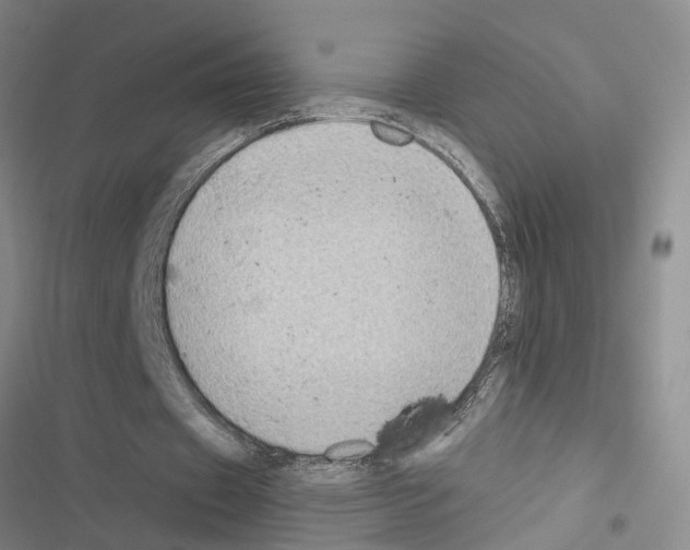 X0000116550433201001211205