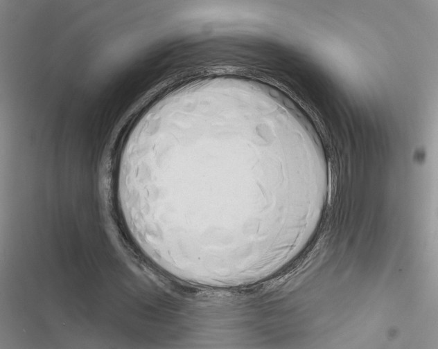 X0000116550435201001211205