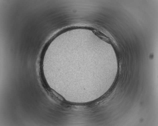 X0000116550436201001211205