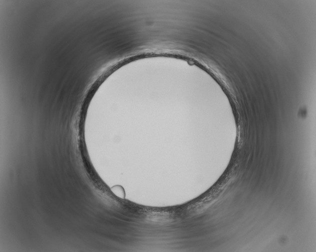 X0000116550438201001211205