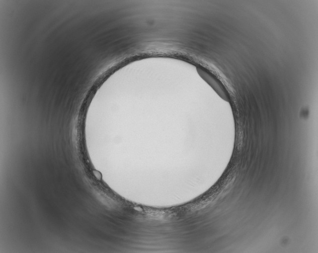 X0000116550439201001211205