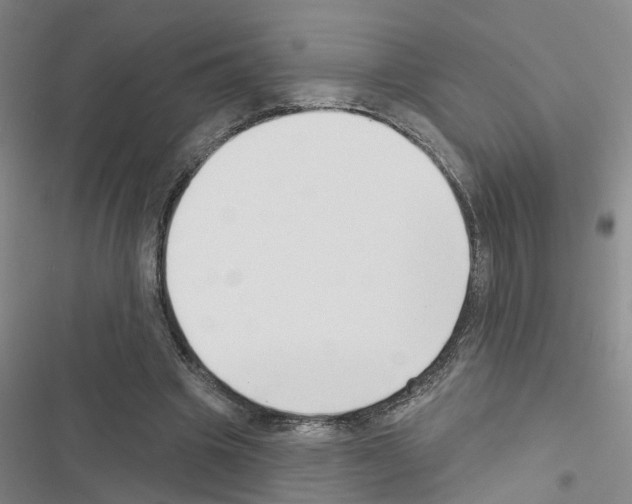 X0000116550441201001211205