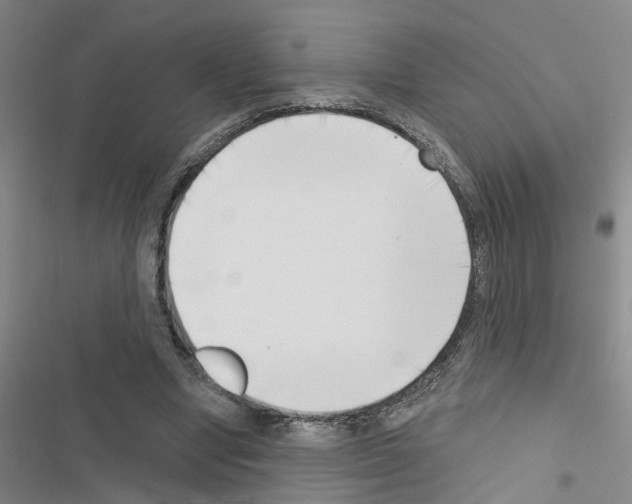 X0000116550442201001211205