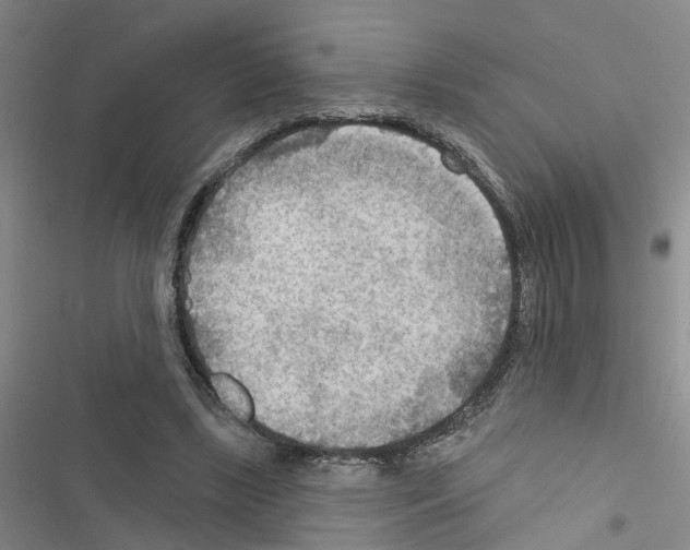 X0000116550443201001211205