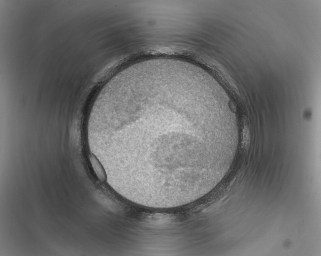 X0000116550444201001211205