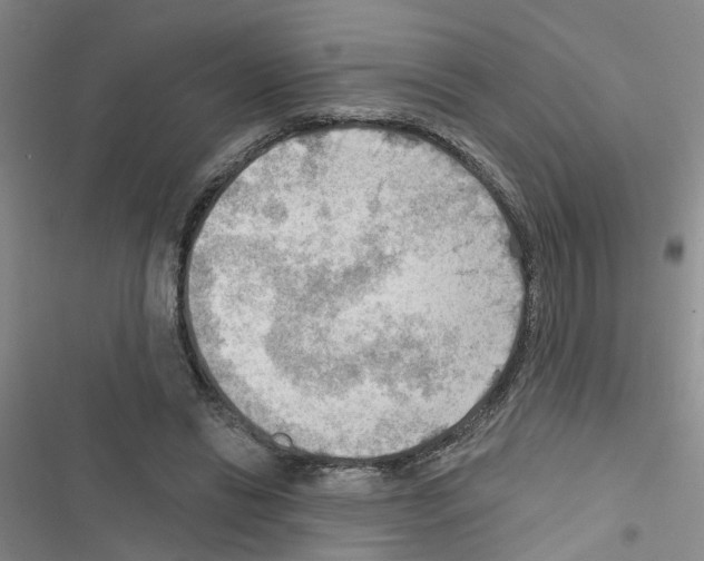 X0000116550446201001211205