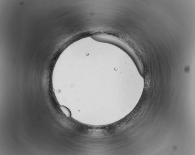 X0000116550448201001211205