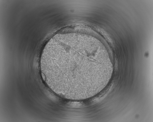 X0000116550449201001211205