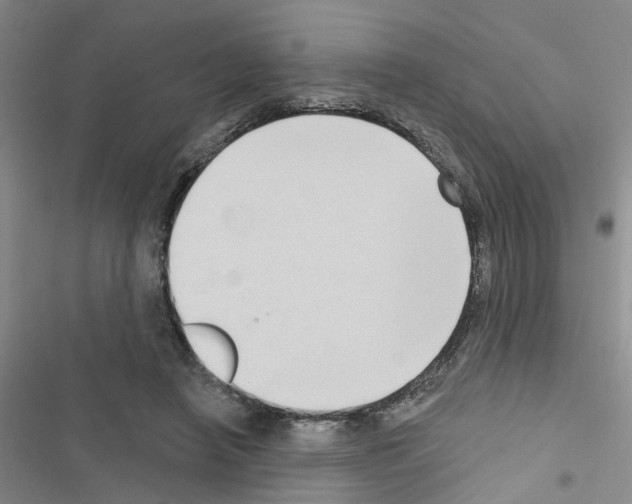 X0000116550450201001211205