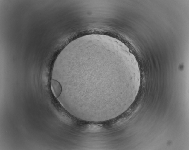 X0000116550451201001211205