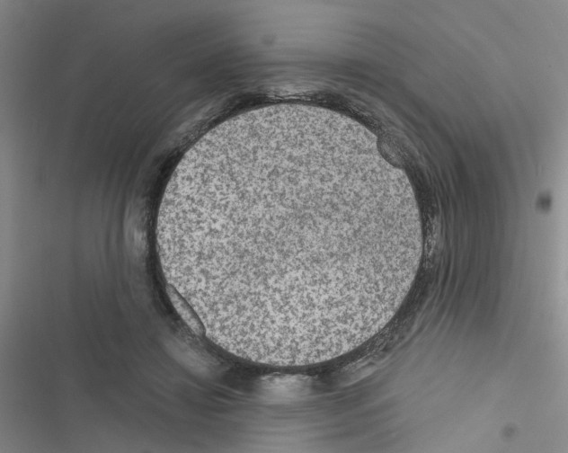 X0000116550452201001211205