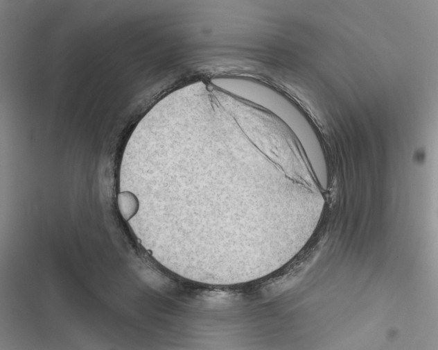 X0000116550453201001211205