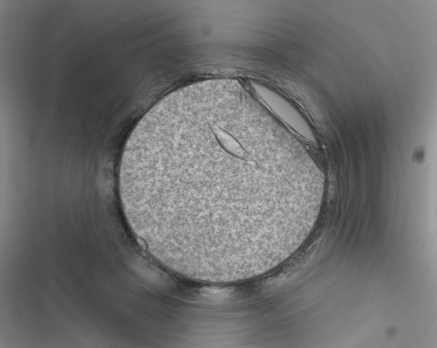 X0000116550457201001211205