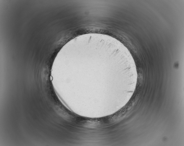 X0000116550458201001211205