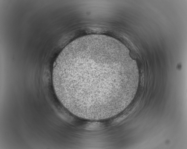 X0000116550459201001211205