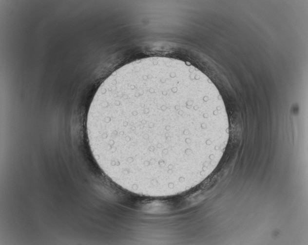 X0000116550460201001211205