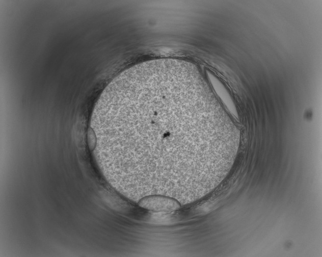 X0000116550461201001211205