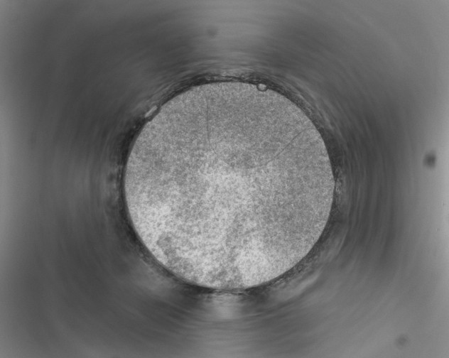 X0000116550462201001211205