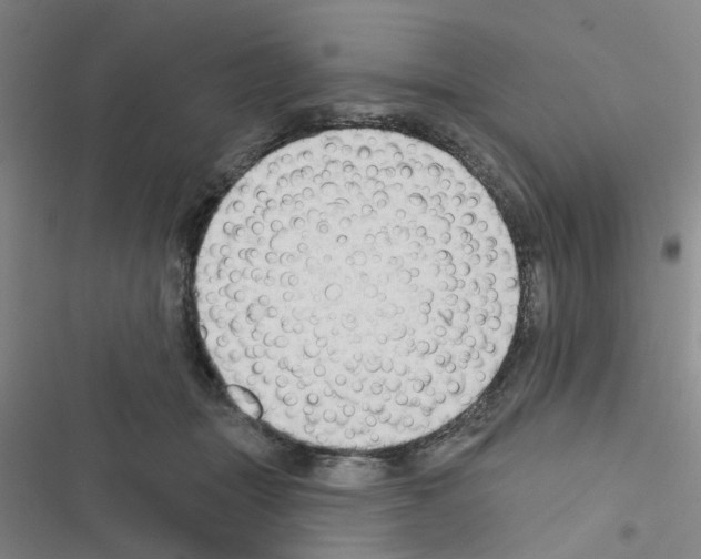 X0000116550463201001211205