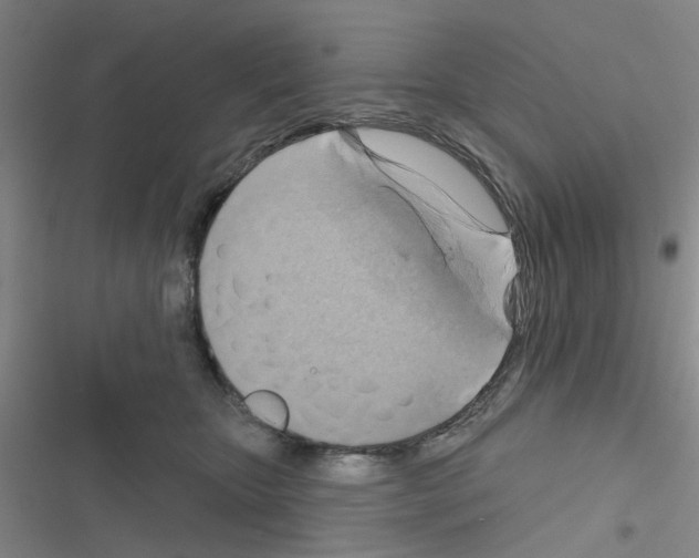 X0000116550467201001211205