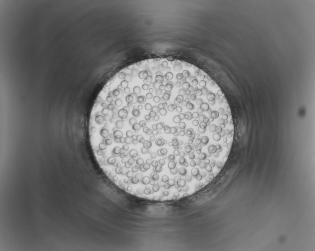 X0000116550470201001211205