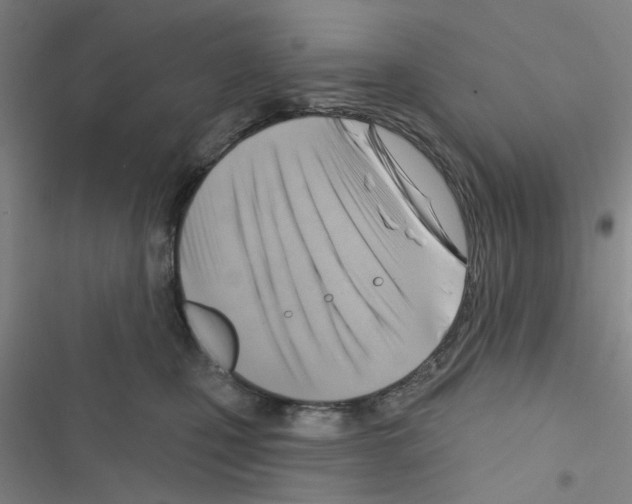 X0000116550471201001211205