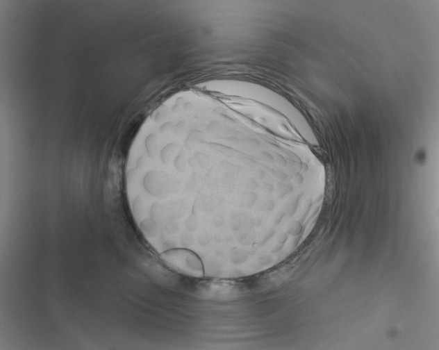 X0000116550475201001211205