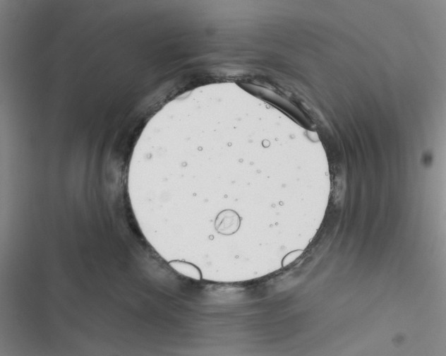 X0000116550476201001211205