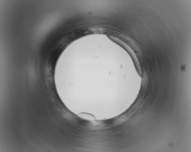 X0000116550477201001211205