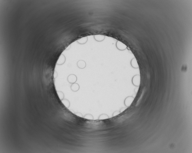 X0000116550480201001211205