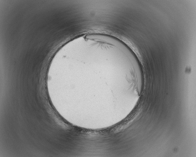 X0000116550481201001211205