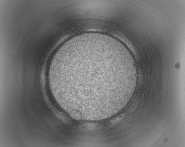 X0000116550482201001211205