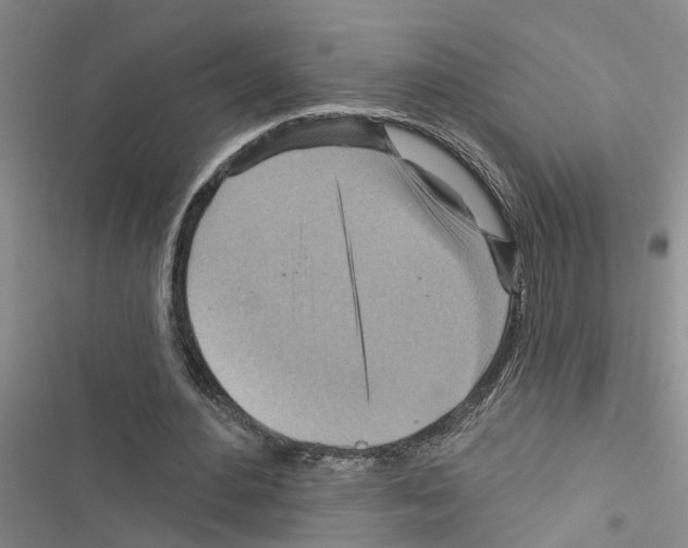 X0000116550484201001211205