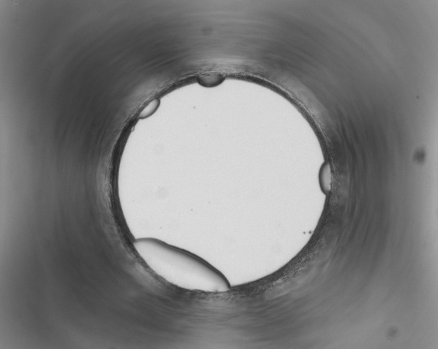 X0000116550485201001211205