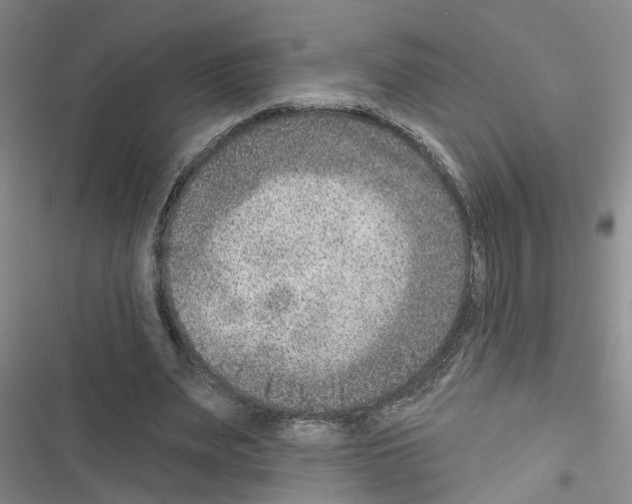 X0000116550487201001211205