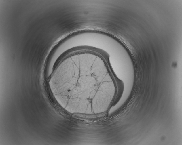 X0000116550488201001211205