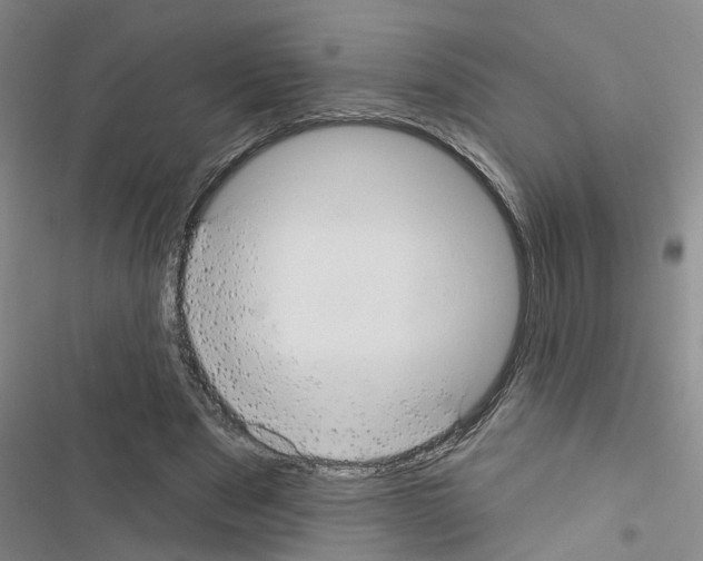 X0000116550489201001211205