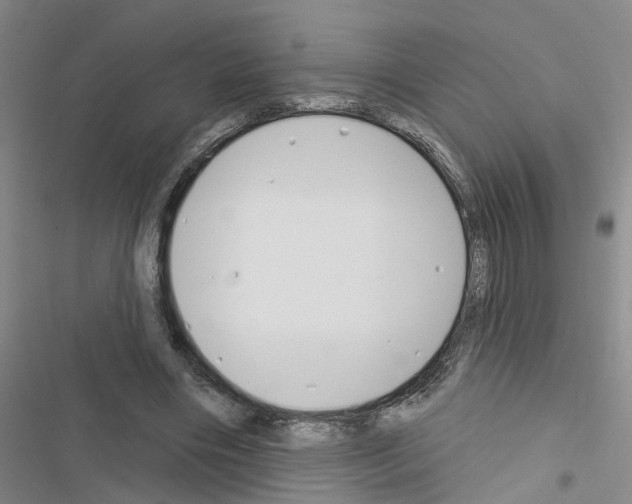 X0000116550490201001211205