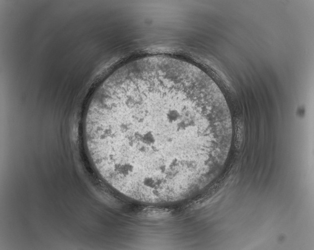 X0000116550491201001211205