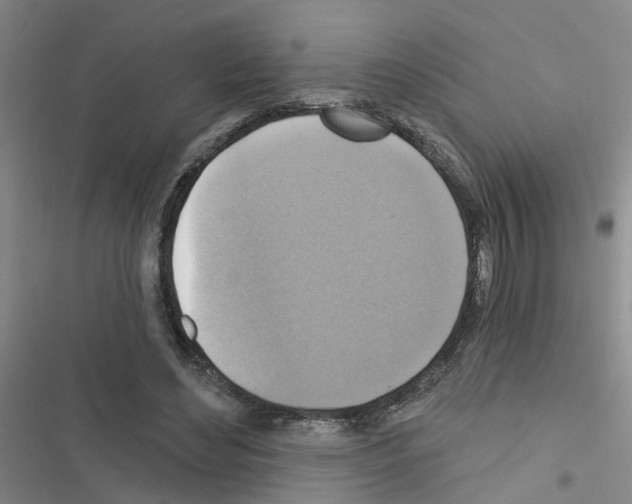 X0000116550492201001211205